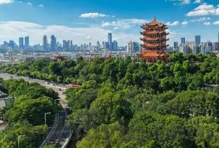欧美在线视频成人-欧美在线视频成人内容，多元化娱乐的新趋势